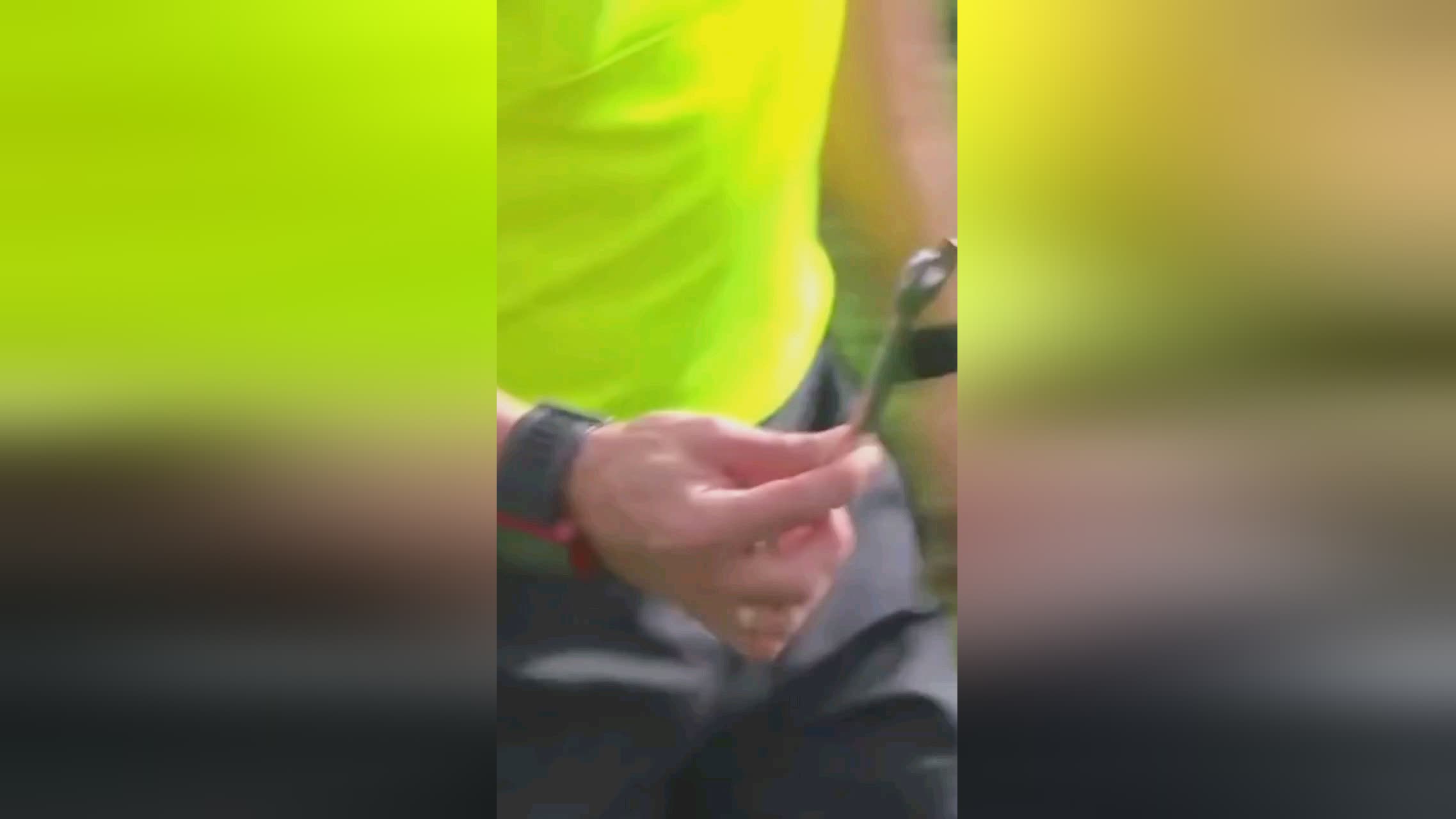 每一个怀揣